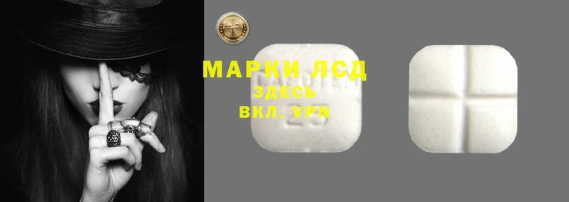 кокс Аркадак