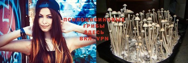 круглые Арсеньев
