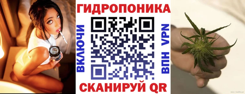 Каннабис сатива  дарнет шоп  Новая Ляля 